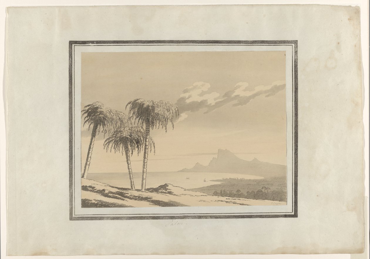 Palm by John Robert Cozens