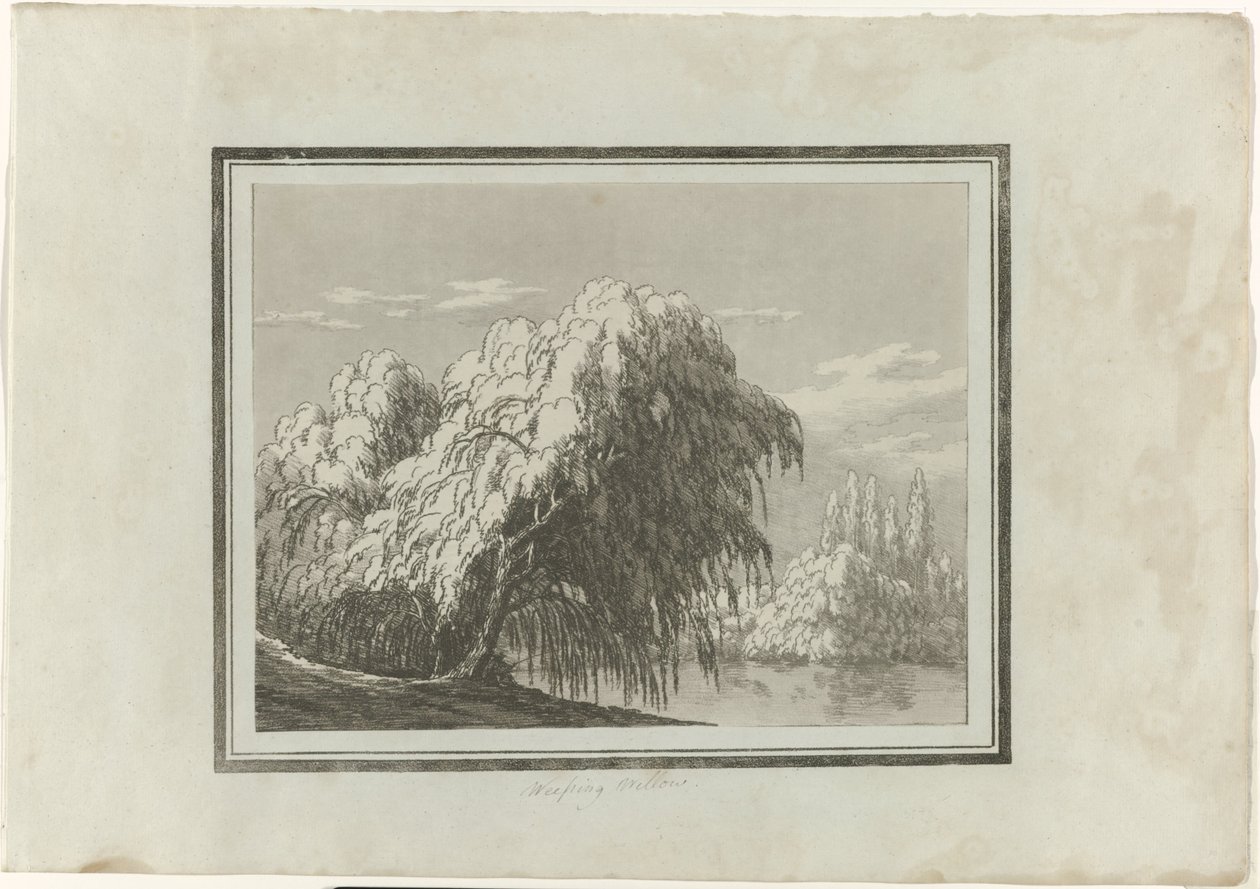 Weeping Willow by John Robert Cozens