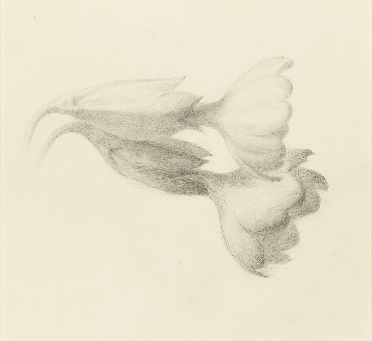 Cowslip Bells, probably 1871 by John Ruskin