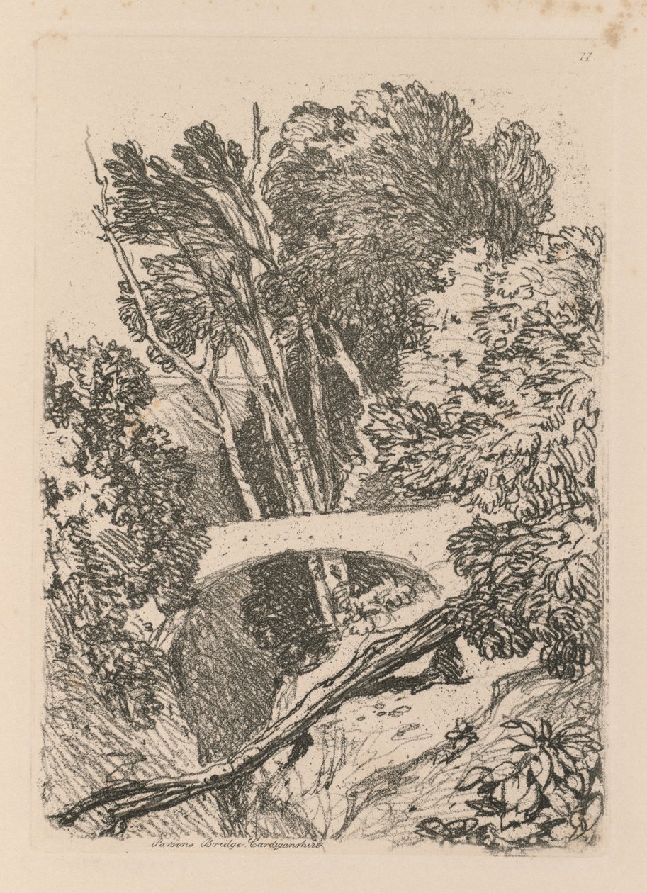 Parsons Bridge, Cardingshire, 1838 by John Sell Cotman