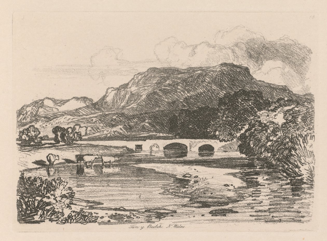 Liber Studiorum: Plate 14, Tan-y-Bwlch, Merionethshire, North Wales by John Sell Cotman