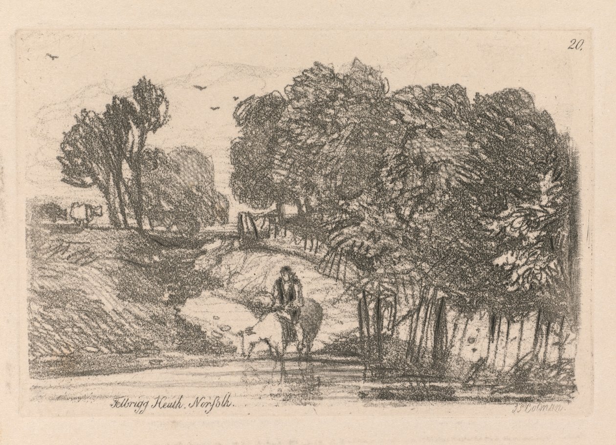 Liber Studiorum: Plate 20, Felbrigg Heath, Norfolk by John Sell Cotman