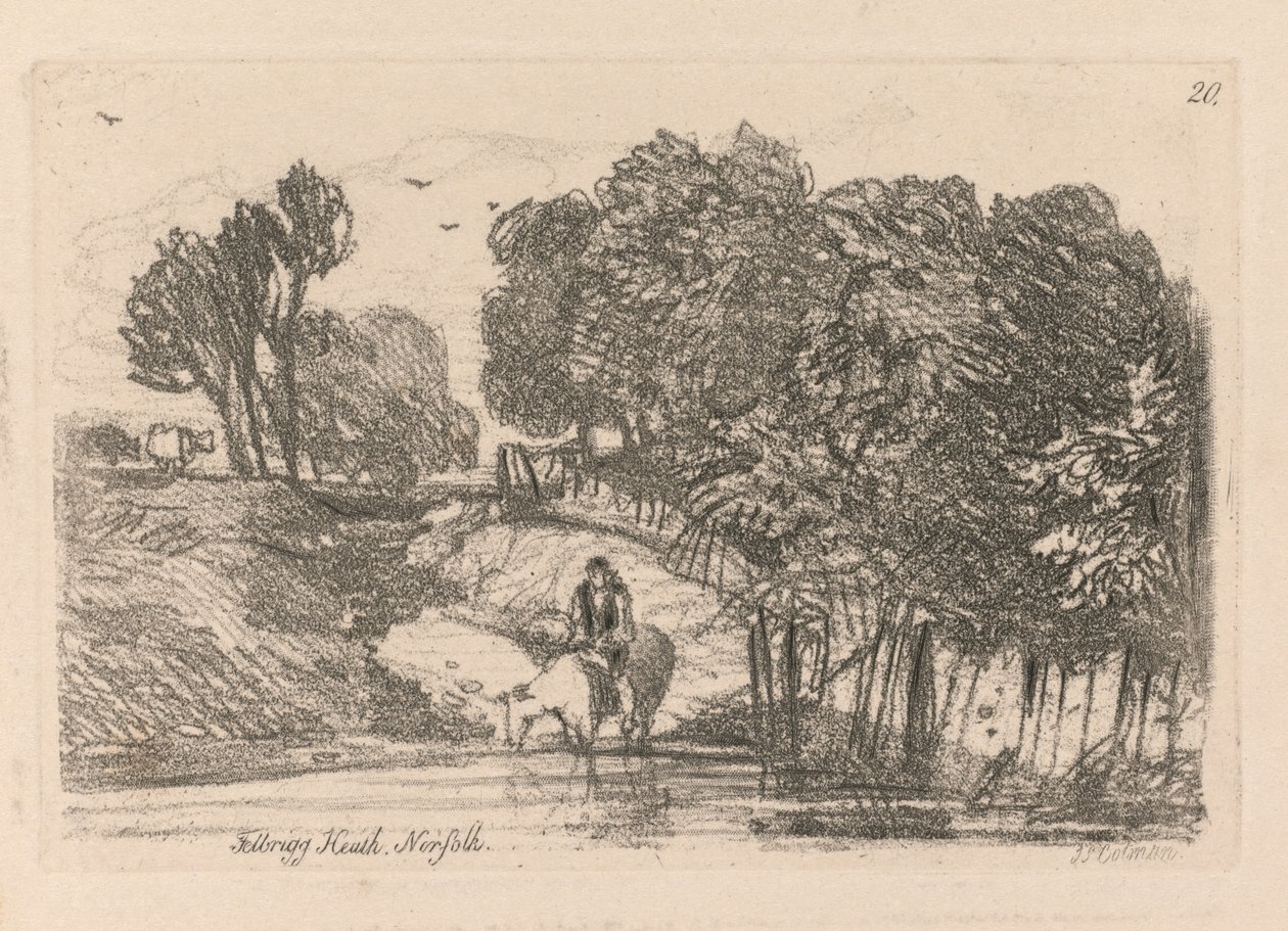 Liber Studiorum: Plate 20, Felbrigg Heath, Norfolk by John Sell Cotman