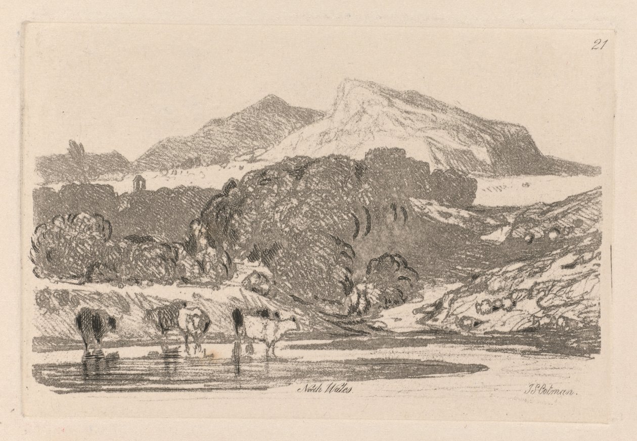 Liber Studiorum: Plate 21, View in North Wales by John Sell Cotman