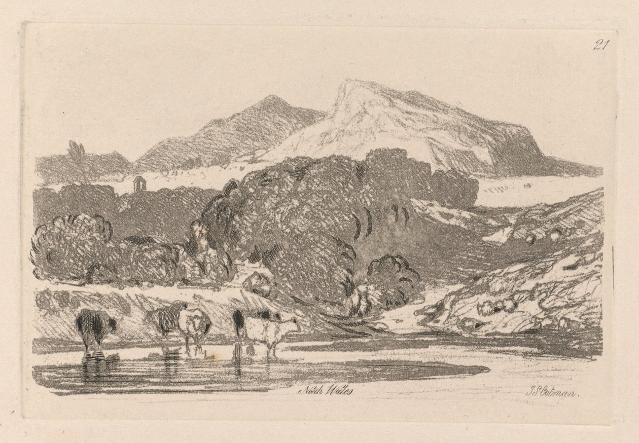 Liber Studiorum: Plate 21, View in North Wales, 1838 by John Sell Cotman