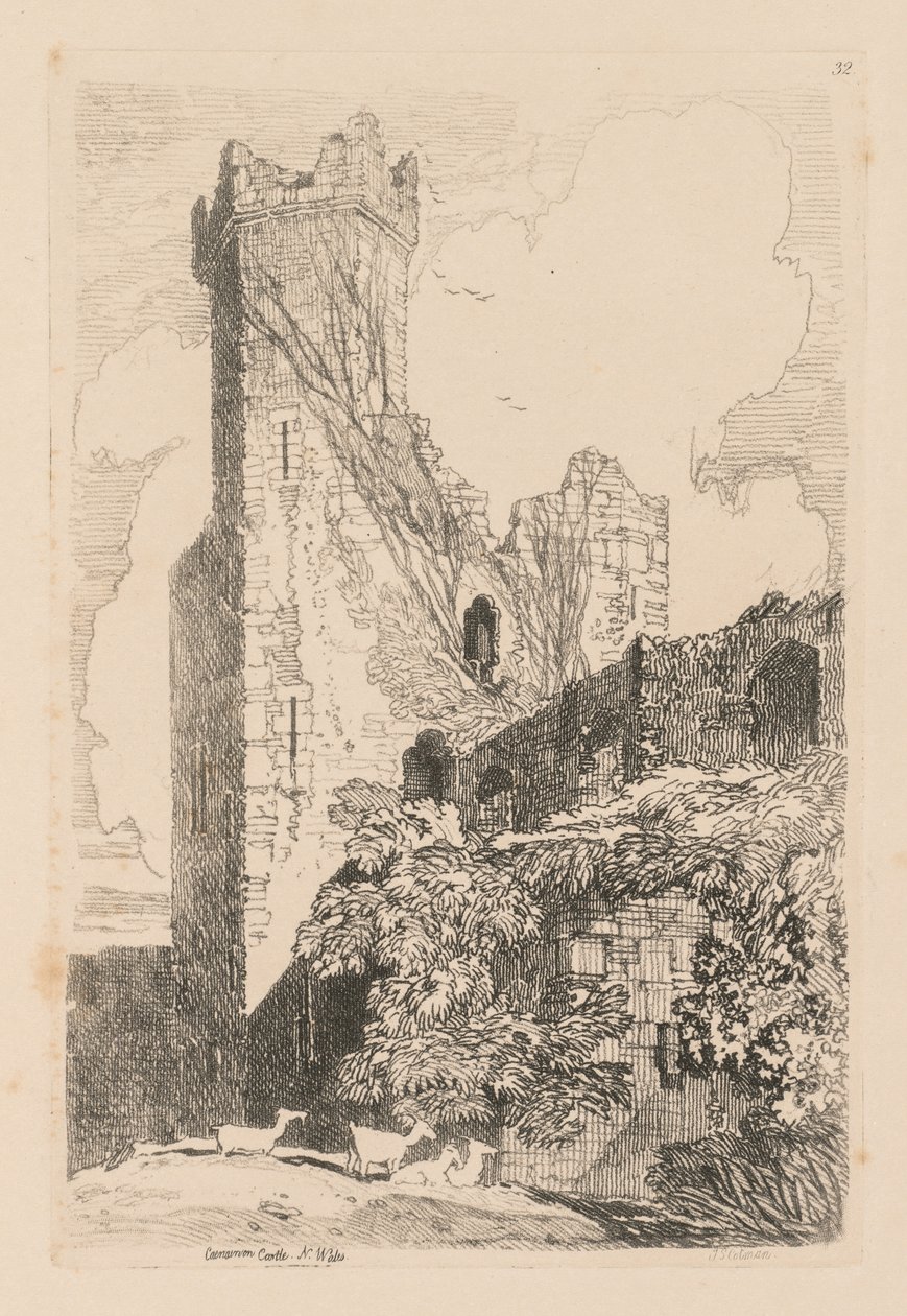 Liber Studiorum: Plate 32, Caernarvon Castle, N. Wales by John Sell Cotman