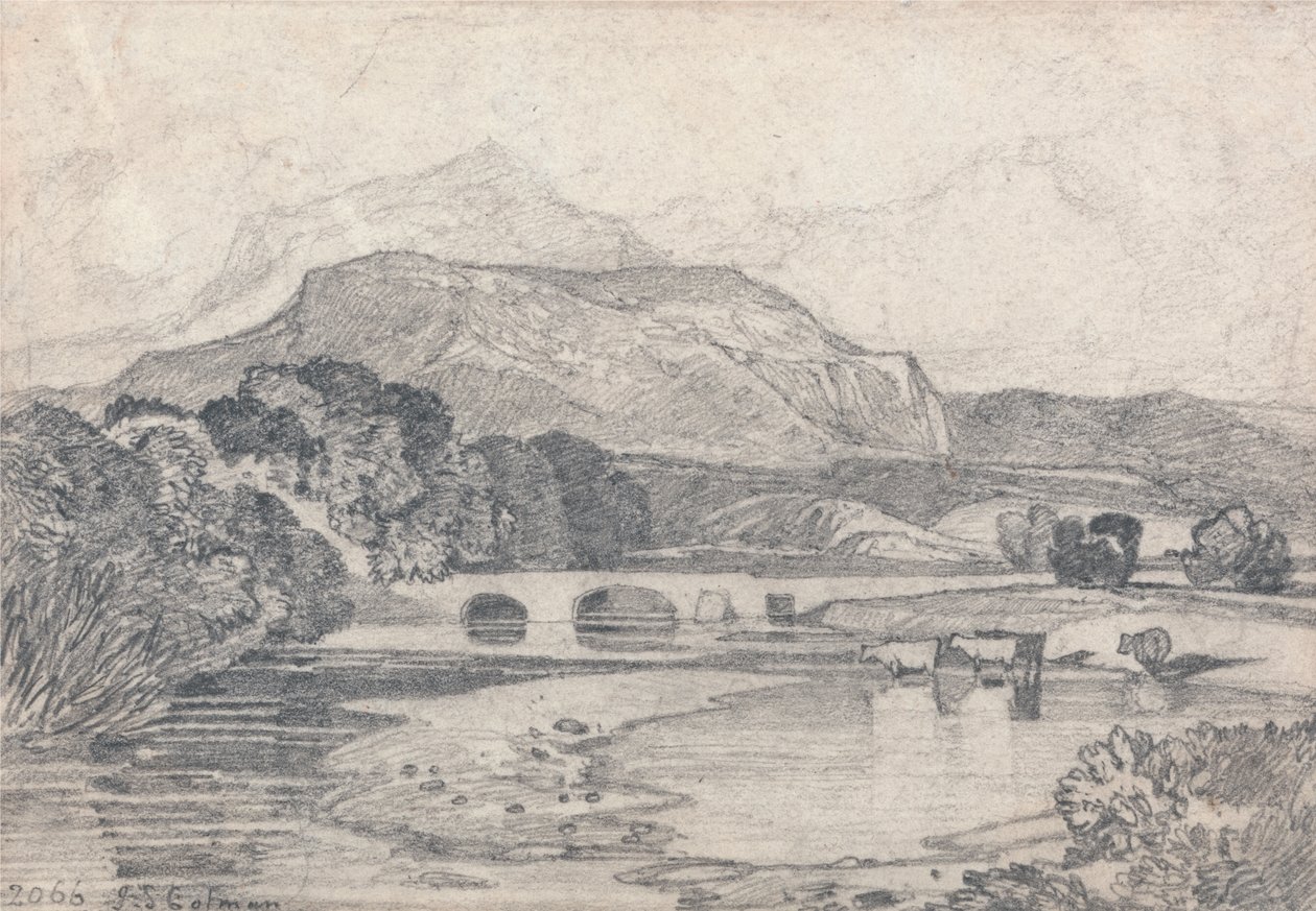 Tan-y-Bwlch, North Wales by John Sell Cotman