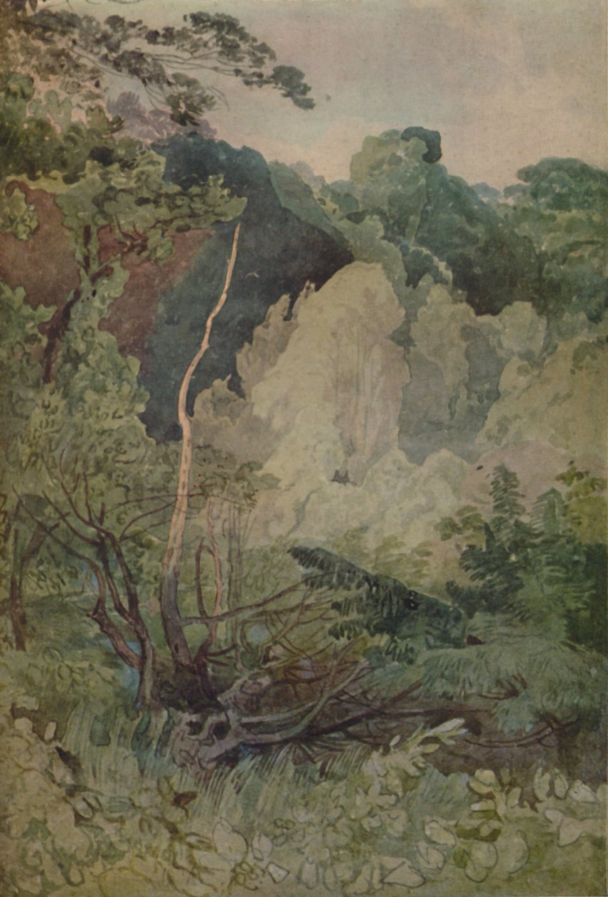 Trees Near The Greta River by John Sell Cotman