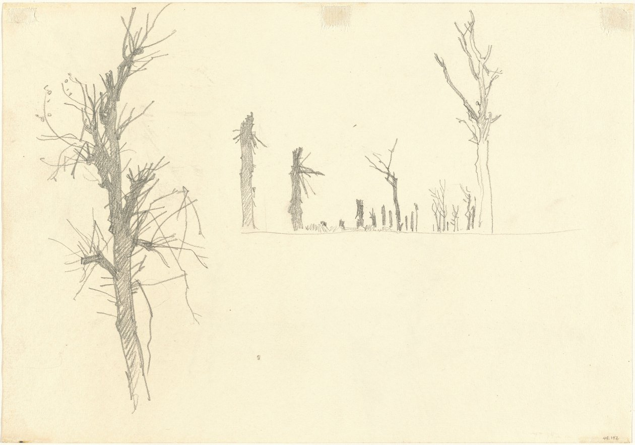 Devastated Trees by John Singer Sargent