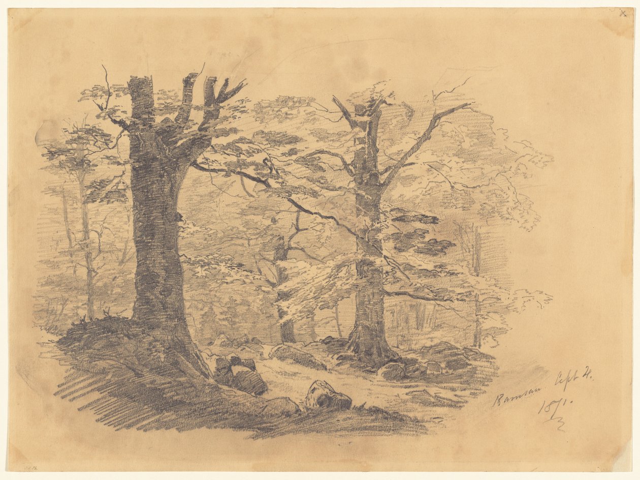 Forest, Ramsau, Germany by John Singer Sargent
