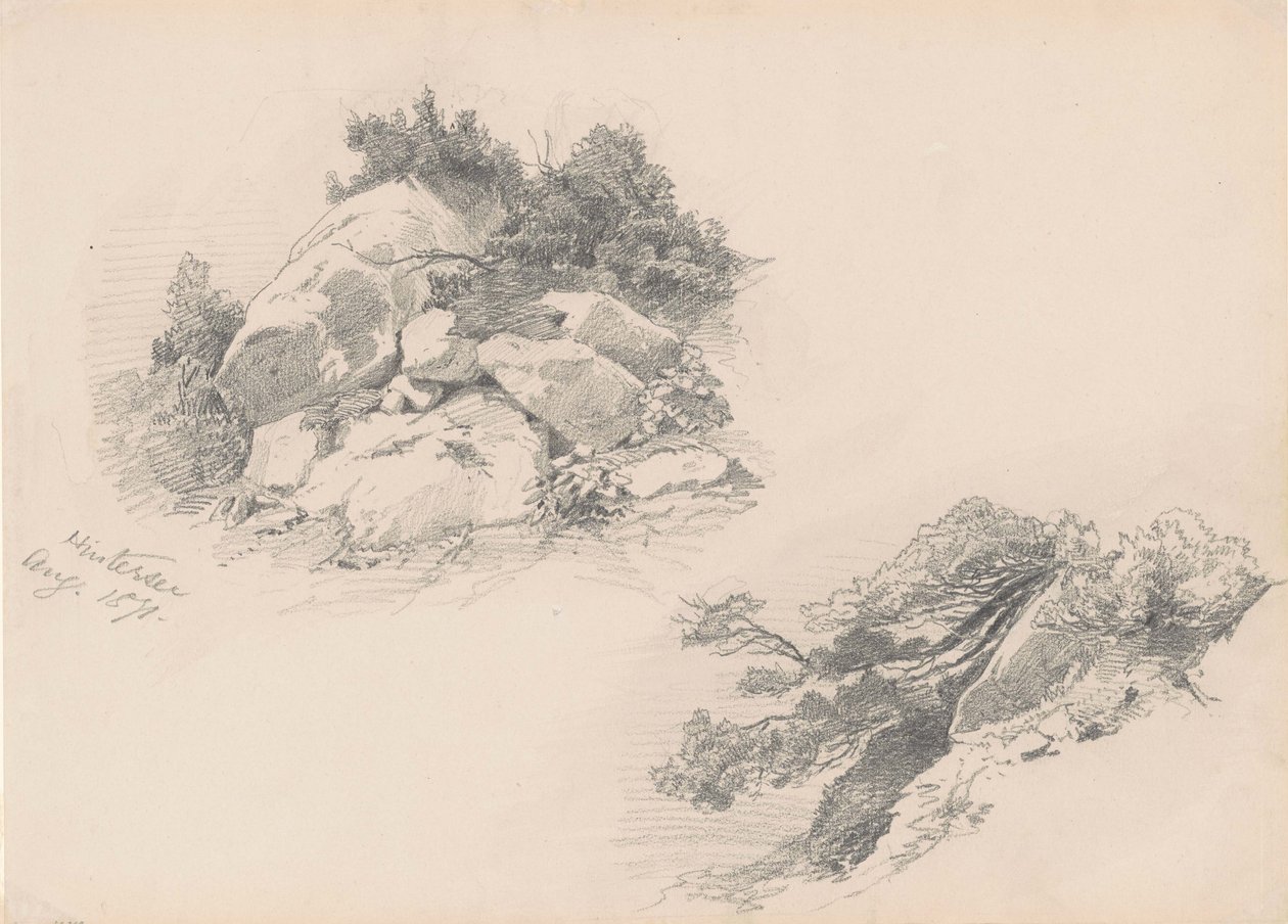 Rocks and Brush, Hintersee, Germany, 1871 by John Singer Sargent