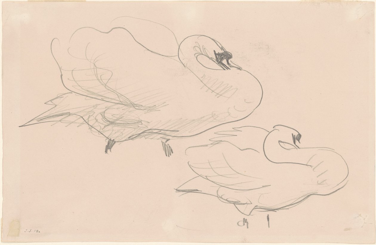 Studies of a Swan by John Singer Sargent