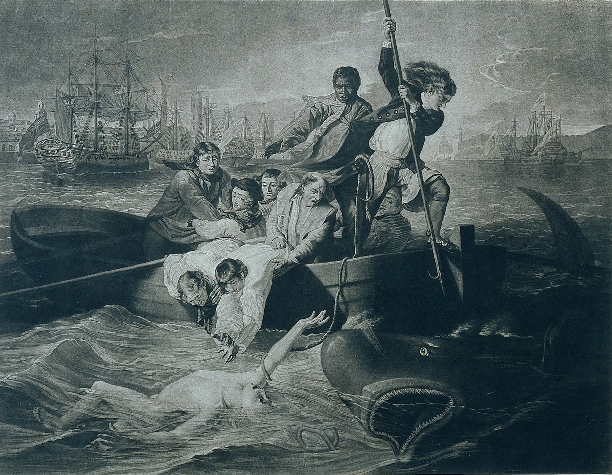Watson and the Shark by John Singleton Copley