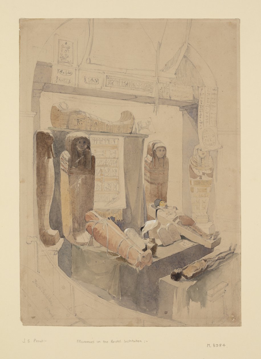 Mummies in the Bristol Institution by John Skinner Prout