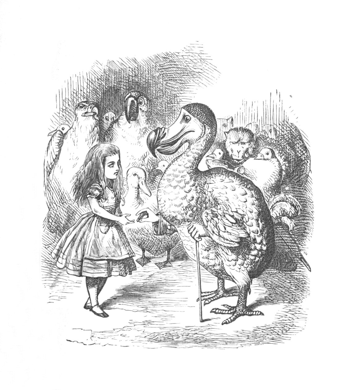 Alice and the Dodo, 1889 by John Tenniel