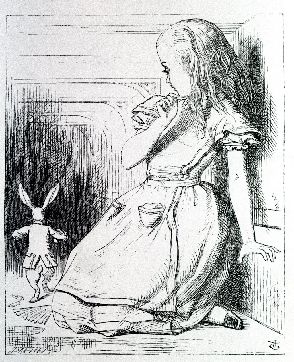 Alice and the Rabbit - in 'Alice's Adventures in Wonderland and Through ...