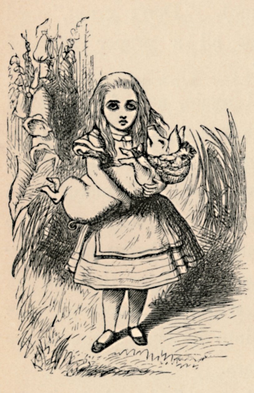 Alice Holding a Pig in Her Arms, 1889 by John Tenniel
