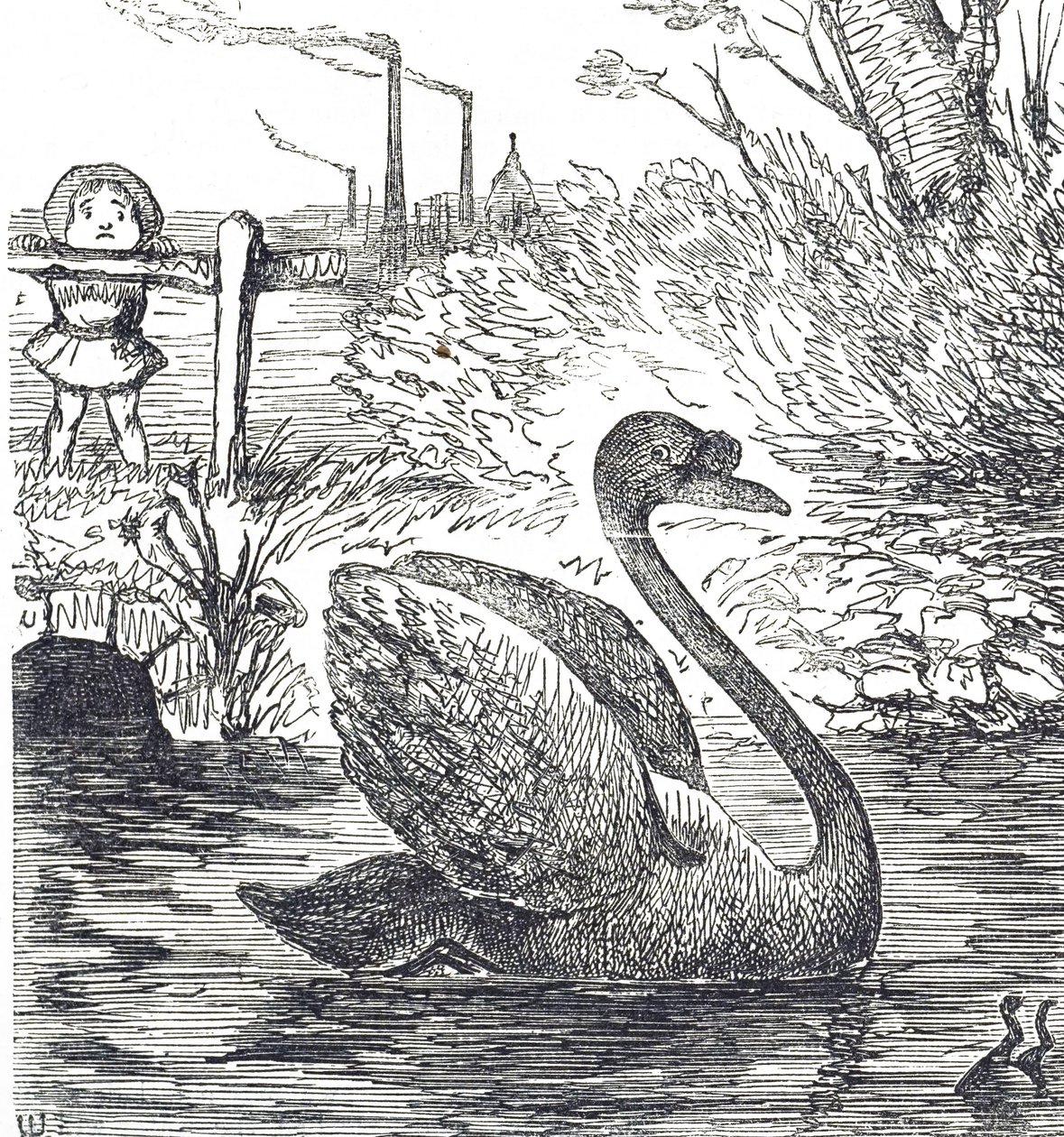 Cartoon commenting on the pollution of the Thames in London by John Tenniel