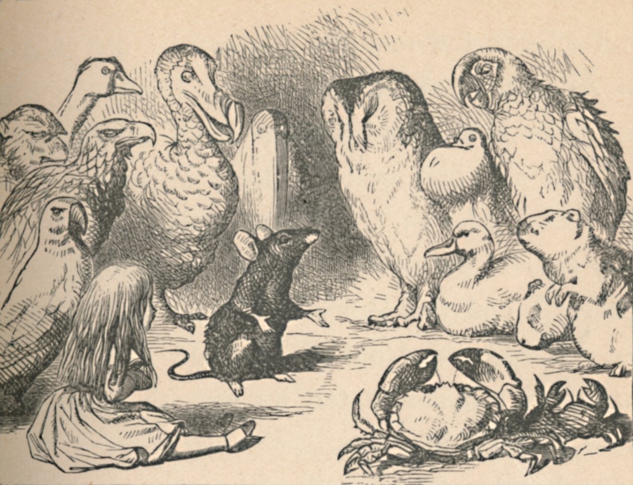 Illustration for the Chapter 
