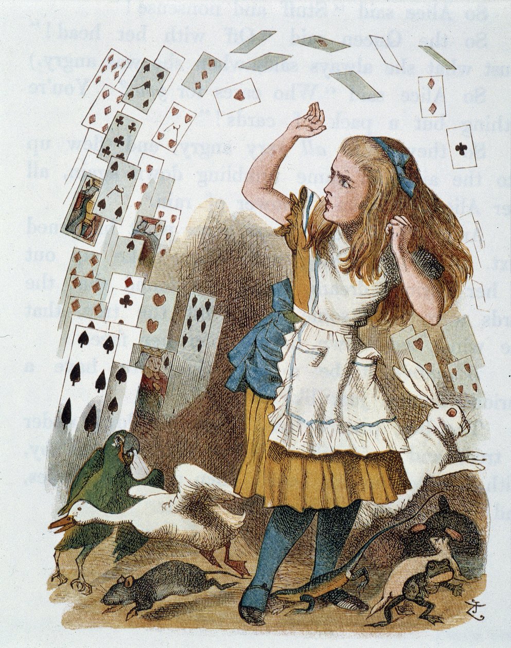 Playing cards - in 