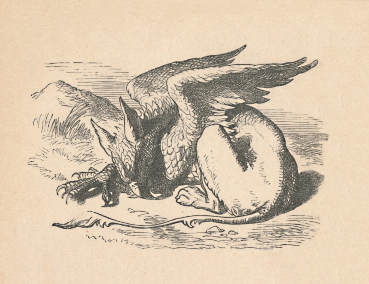 The Gryphon asleep in the sun by John Tenniel