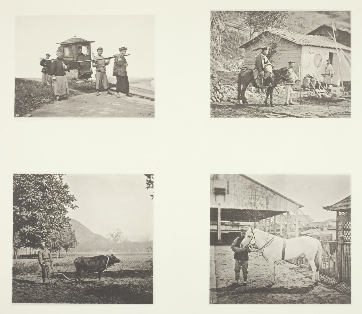 The Sedan, A Military Officer, The Plough, A North China Pony by John Thomson
