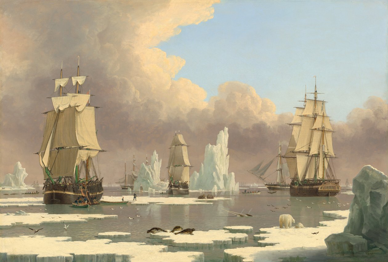 The Northern Whale Fishery: The 