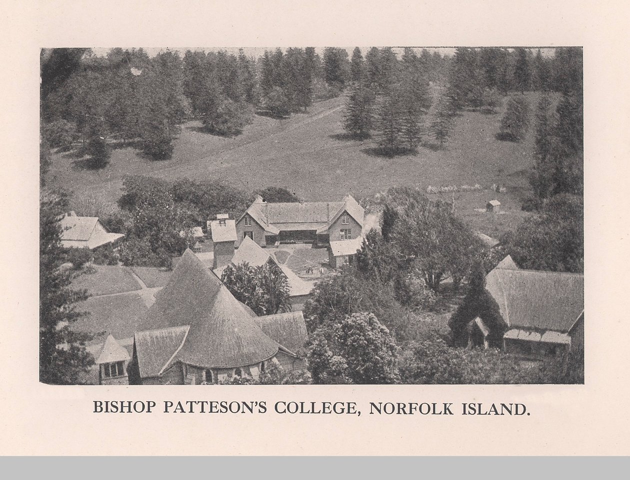 Bishop Patteson