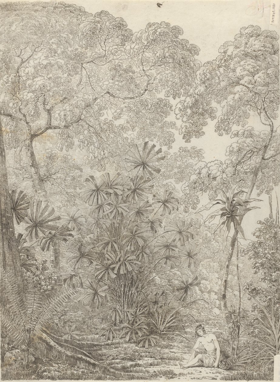 The Fan Palm of Cracatoa by John Webber