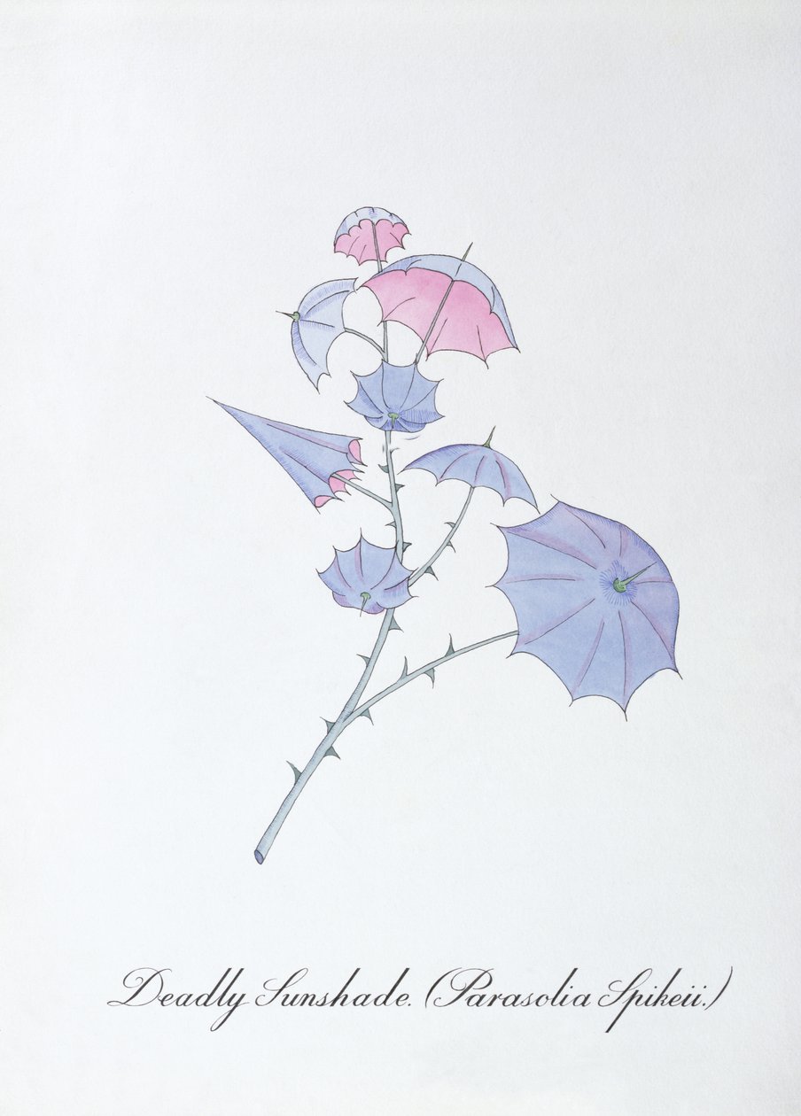 Deadly Sunshade, Illustration from 