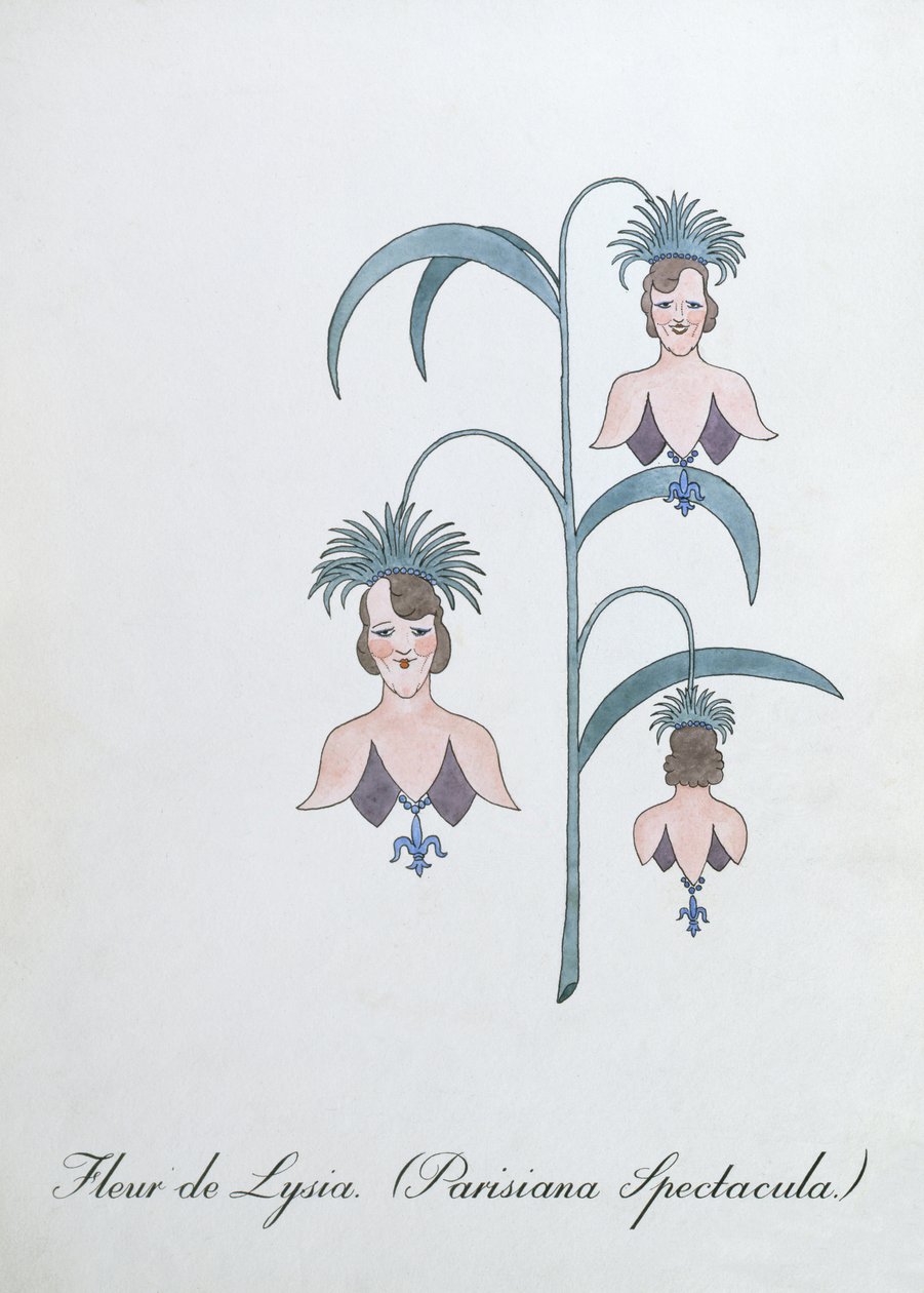 Fleur de Lysia (Parisiana Spectacula), Illustration from 