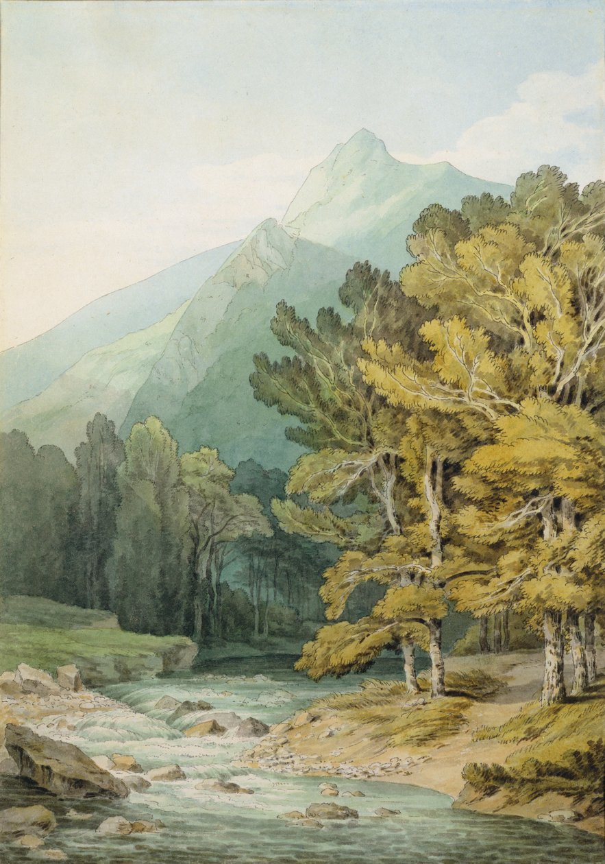On the Dart in Holne Chase by John White Abbott