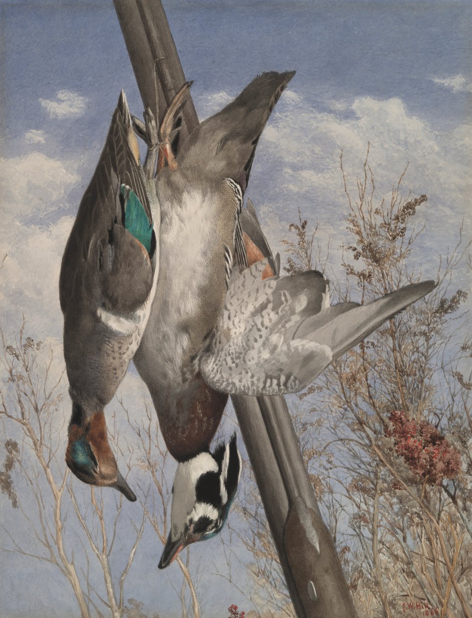Hanging Game Birds by John William Hill
