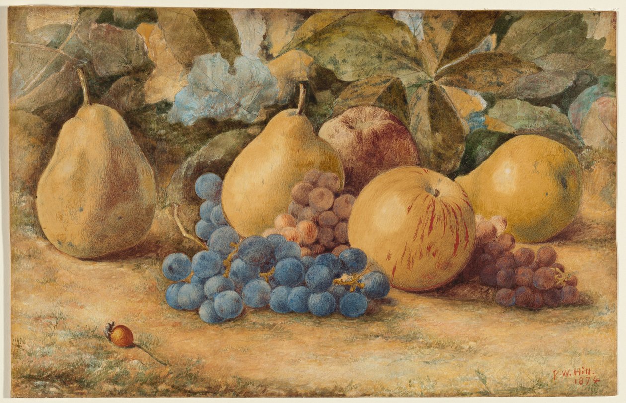 Still Life of Fruit: Apples, Pears, and Grapes on Ground by John William Hill