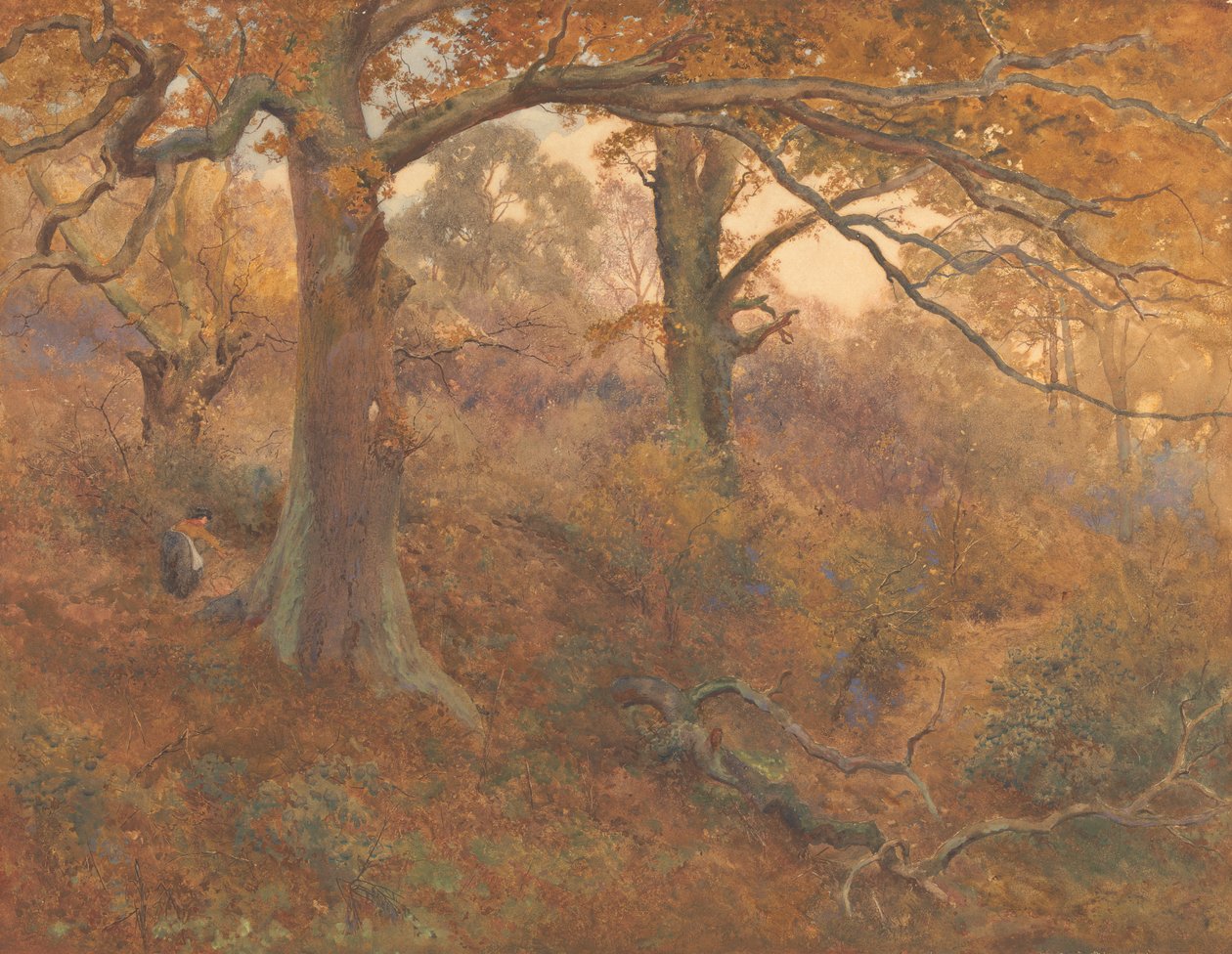 Forest Landscape by John William North