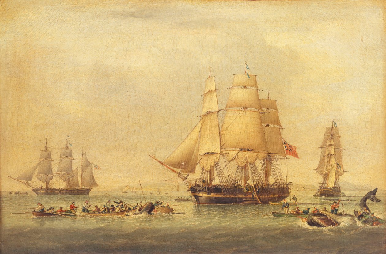 Whalers of the South Seas Fishery by John of Hull Ward
