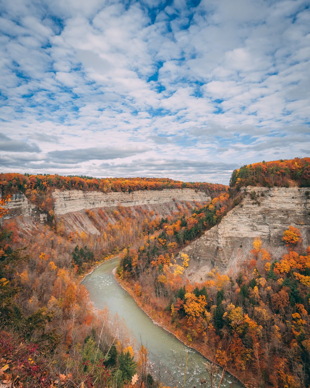 Autumn Colors in the Gorge at Letchworth State Park, New York, USA by Jon Bilous