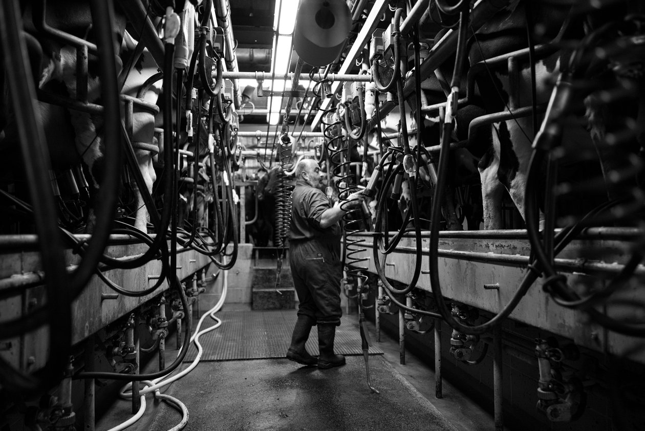 The Goodwood Estate in West Sussex, UK, 2019 by Jon Nicholson