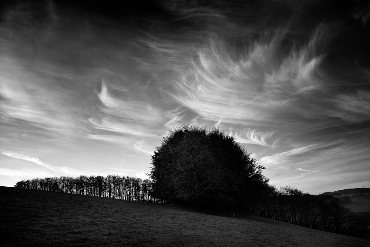 The Goodwood Estate in West Sussex, UK, 2019 by Jon Nicholson