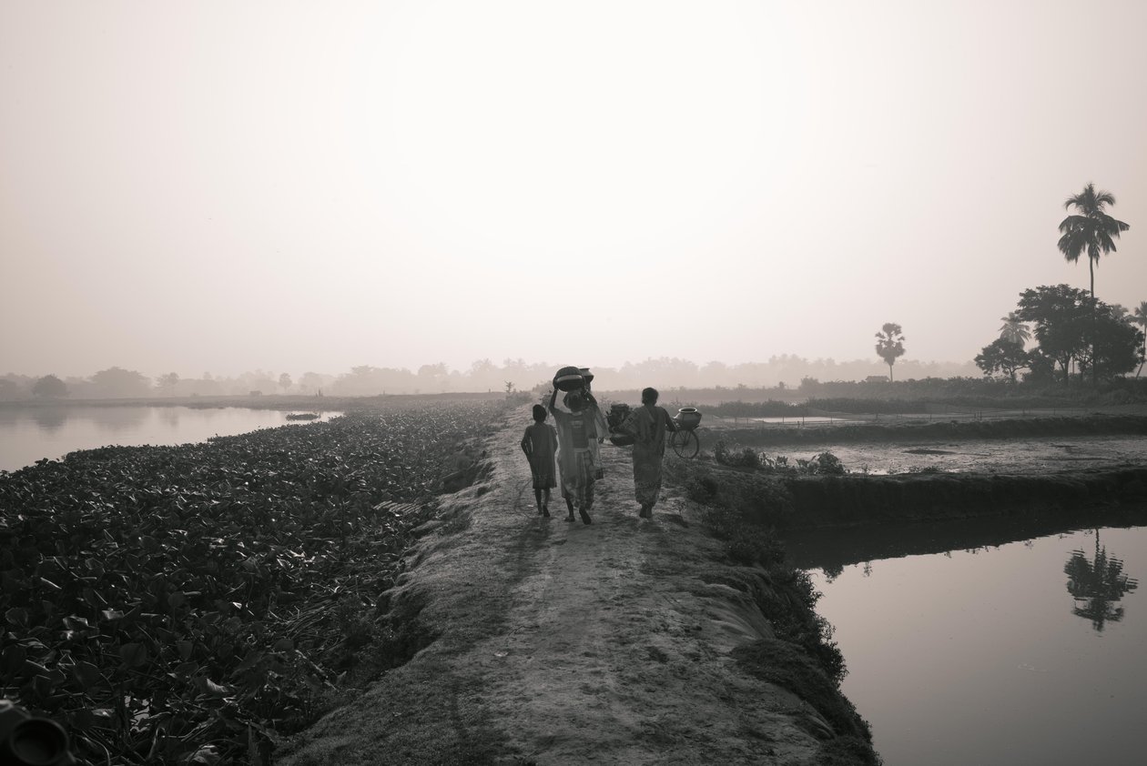 Wetland fishing in Kolkata, 2016 by Jon Nicholson