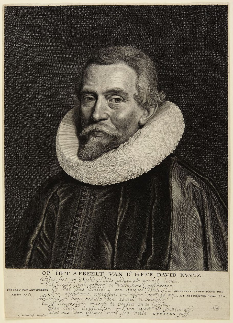 David Nuyts by Jonas Suyderhoef