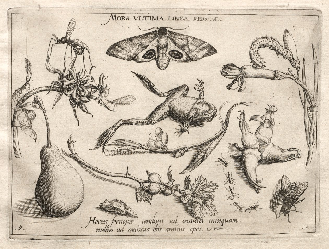 Archetypes and Studies: Death is the line that marks the end of all Part II, plate 5, 1592 by Joris Hoefnagel