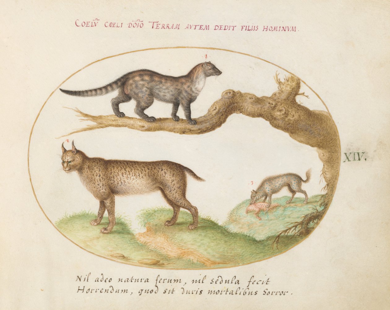 A Civet, a Lynx, and a Hyena by Joris Hoefnagel