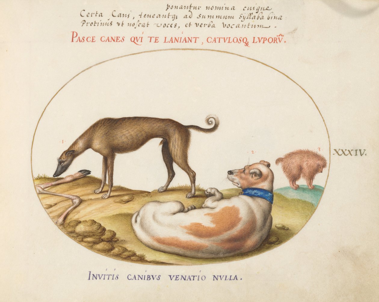 Plate 34: Three Dogs, Including a 