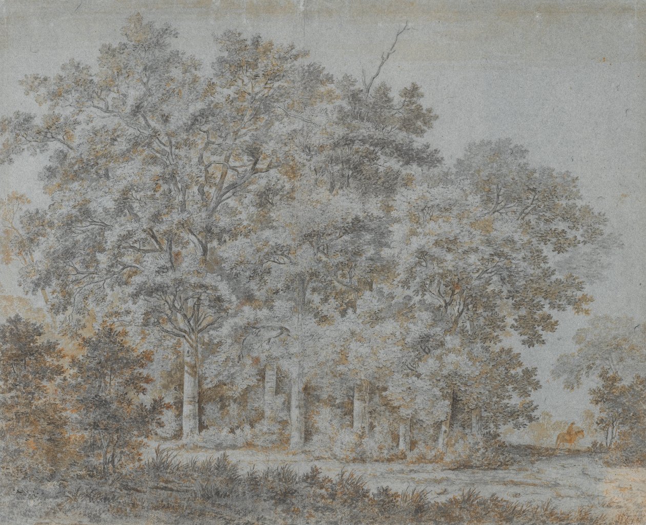 Forest and Rider by Joris van der Hagen