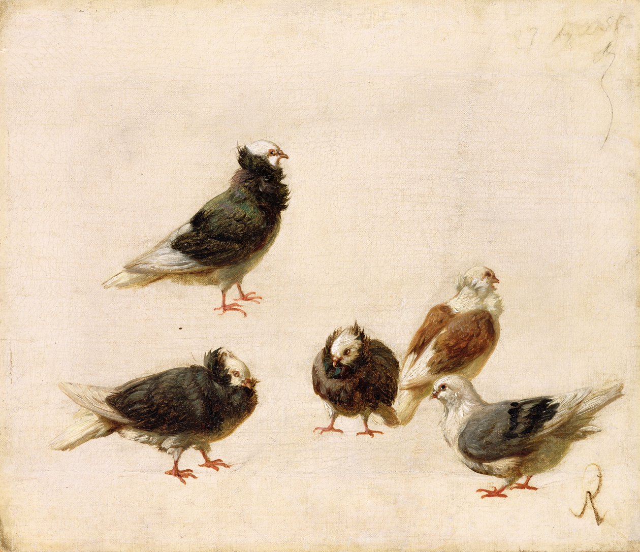 Pigeons, 1888 by Jose Ruiz Blasco