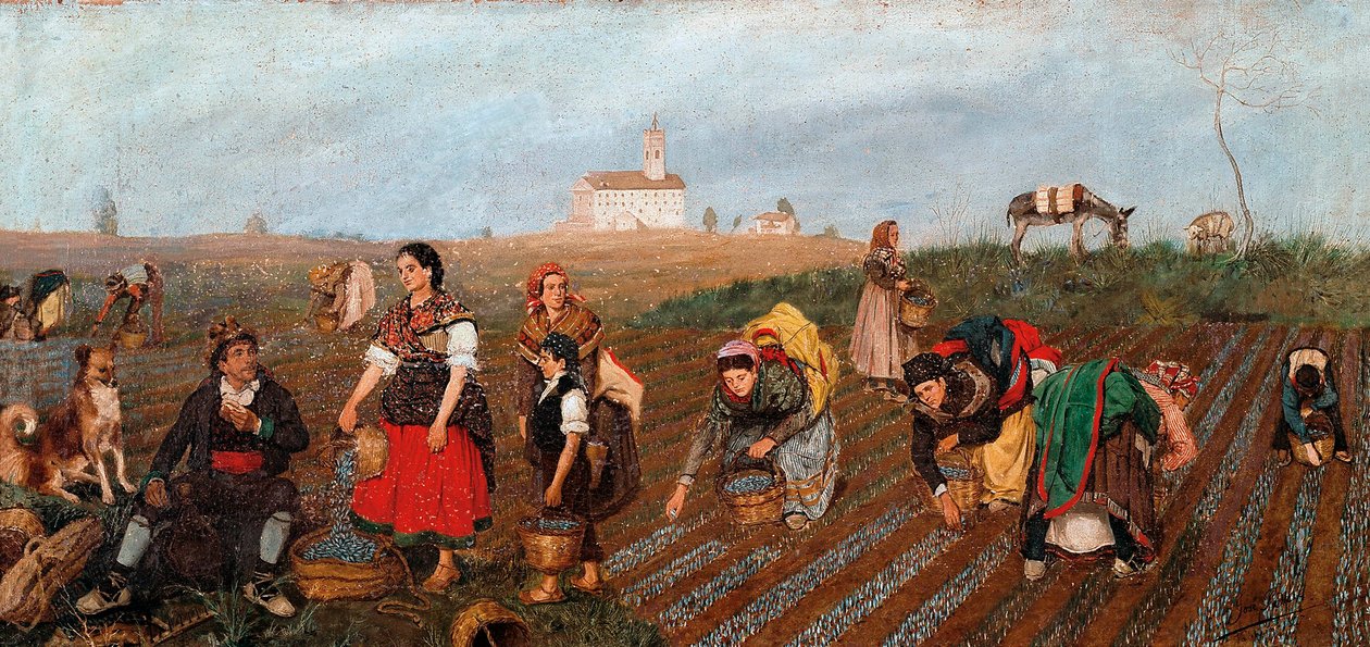 The Saffron Collect (Detail) by Jose Bru Albinana