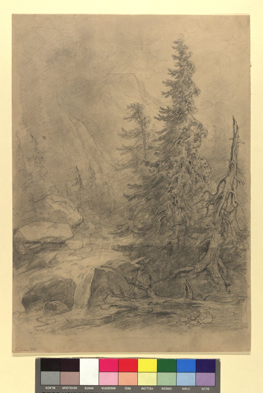 Mountain Stream with Conifer Trees by Josef Kriehuber