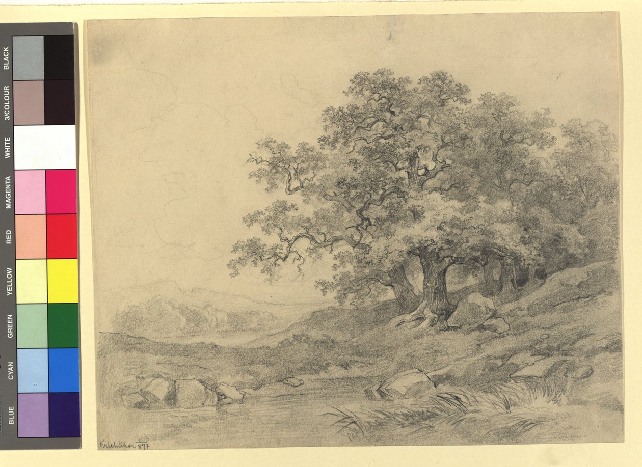 Landscape Study by Josef Kriehuber