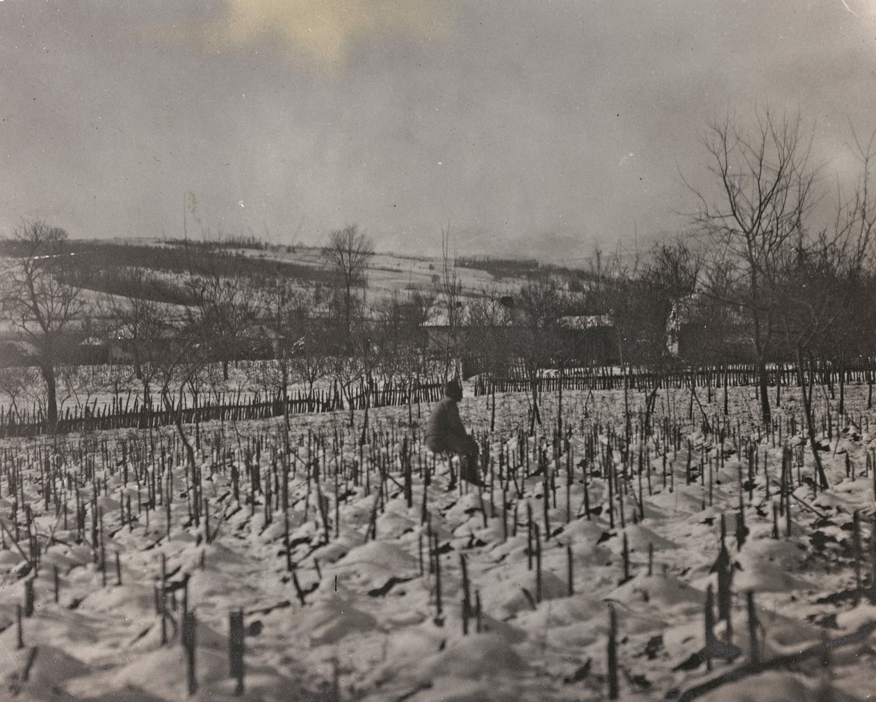 Military cemetery (b/w photo) by Josef Zohles